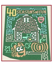 Flashlight Maze Night