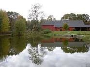 Evening Bird Walk at Northwest Park