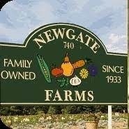 Newgate Farms Offering Winter Share CSA