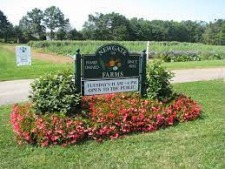Newgate  Farms Offering Fresh, Seasonal Veggies