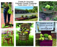 Upcycled Planter Challenge / Walk