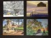 Windsor Post Cards