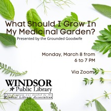 What To Grow in My Medicinal Garden