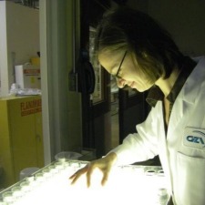 New England Bioassay Cultivates their Brand with Hosting Connecticut LLC