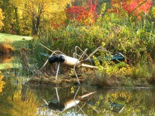 Windsor Sculpture Walking Tour!