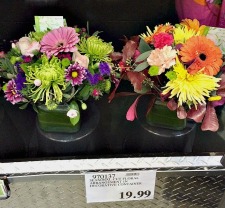 Spring Into Costco